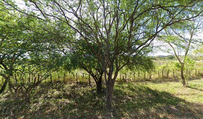 El rancho de nanito