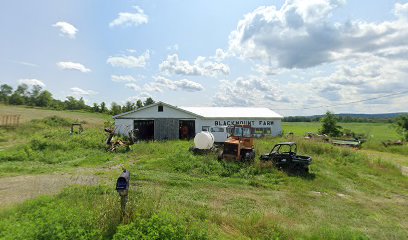 Blackmount Farm