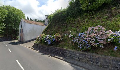 Remédios - Joao De Almeida