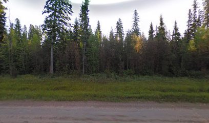 Fort Nelson Municipal Landfill (NRRM)