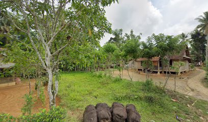 Penggilingan Padi