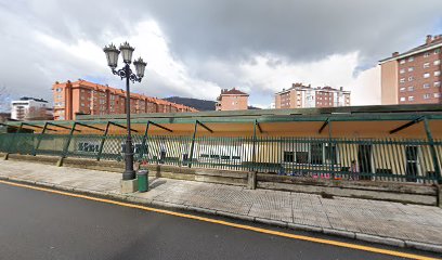 Escuela de Educación Infantil Jardín de Infancia la Carisa en Oviedo