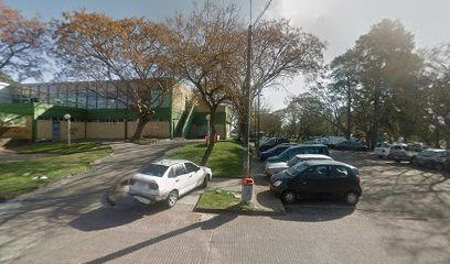 TURISMAR - BRUNO Terminal Maldonado