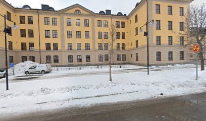 Umeå kommun Näringsliv