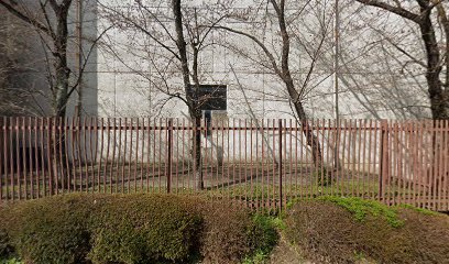 幼き聖マリア修道院