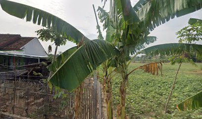 Rumah Kuwu Hafiz Anwar