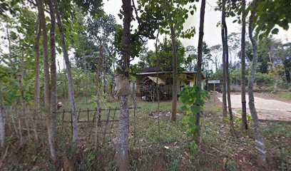 Masjid Walisongo