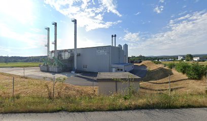 EVN Biomasseheizwerk Ternitz