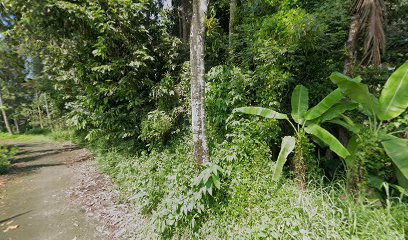 LAHAN PANGAN KEMANDIRIAN ORGANIK