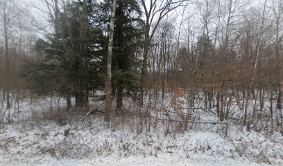 Shinglebolt Creek Public Water Access