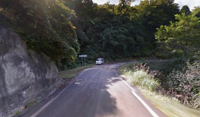 兵庫県指定史跡名勝天然記念物 銚子ヶ谷カキツバタ群落