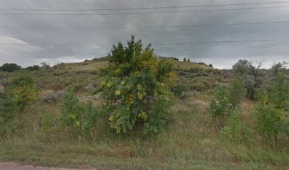 Miles City/Bustin Bronco #2 Water Tower