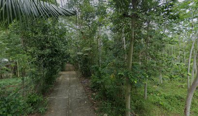 Makam Desa Tanggulturus