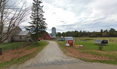 Fresh eggs farm