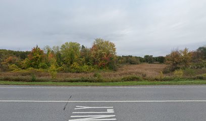 Heineburg Wetlands