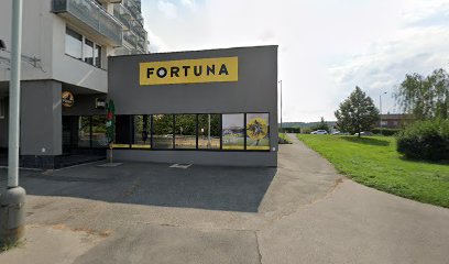 Fortuna Praha-Hornoměcholupská F