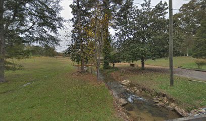 Noccalula Mountain Vineyard