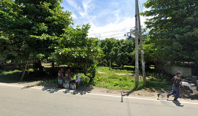 Iglesia Concilio Evangelico La Vid Verdadera