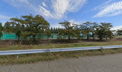 白根総合公園 テニスコート