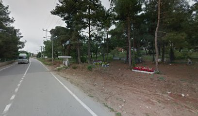 Nilüfer Köy Mezarlığı
