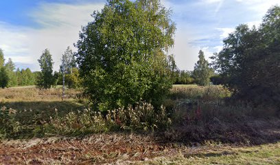 Hallgrensvägen - Fotbollsplan