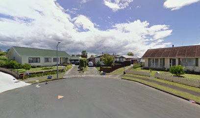 Borsos Plastering Services Waikato