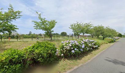 弓ヶ浜公園バスケットゴール