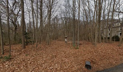 Mitchell Woods Trailhead