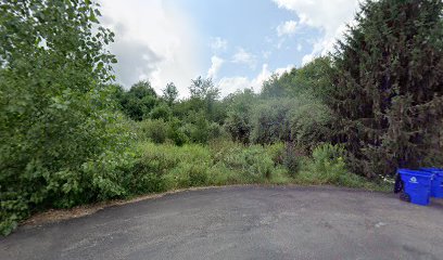 Gray Birch Bog Preserve