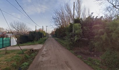 Adiestramiento Canino Analítico Funcional