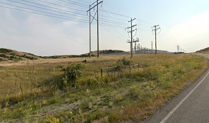 Yellowstone Valley Electric Co