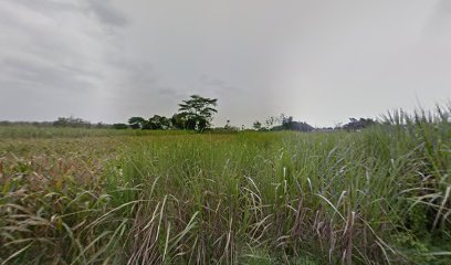 Makam I Dusun Kesamben