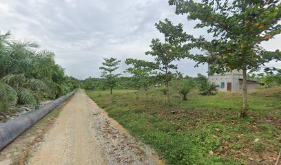 Ameera Farm