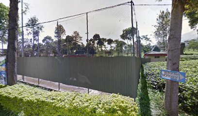 tennis court of Wonosari tea plantation