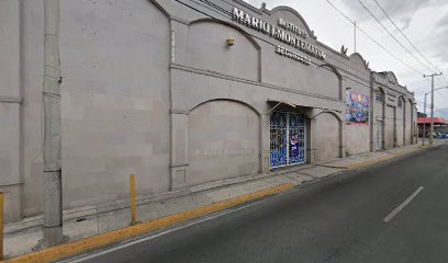 INSTITUTO MARIO J. MONTEMAYOR