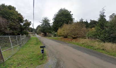 Mendocino Superior Redwood