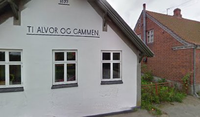 Samsø Tømrer Team