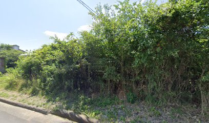 福原 東洋樹