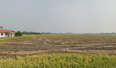 TABIKA KEMAS KAMPUNG TEBUK