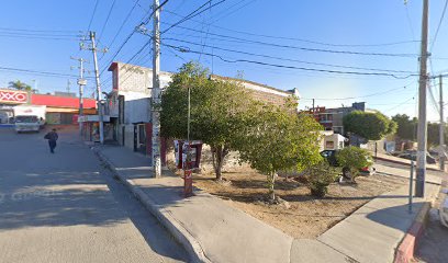 Escuela cejas