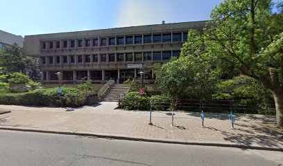 Toronto Youth Street Stories