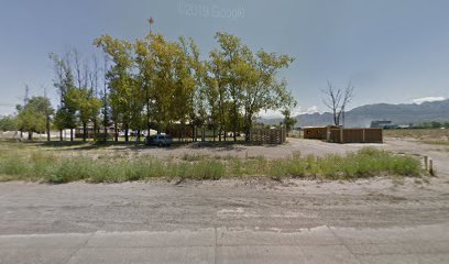 Av. de Acceso a Parque Industrial Provincial (Luján de Cuyo, Mendoza)