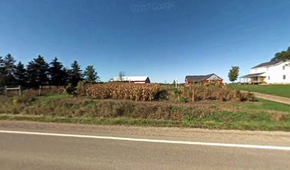 Fanny's Amish Greenhouse