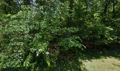 Scout Shelter Pavilion