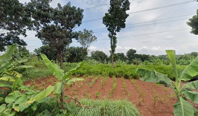 Makam Ibu Rogayah