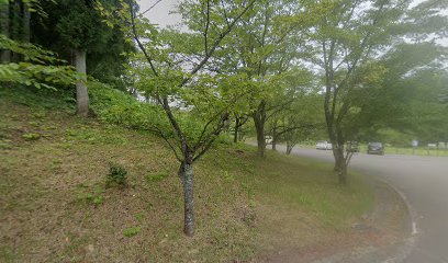 石川県森林公園 駐車場