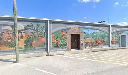 Citrus Mural