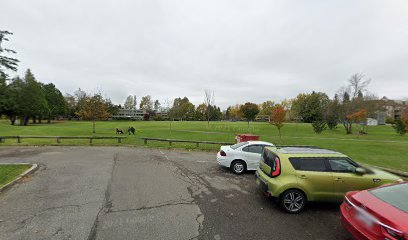 Soccer Field