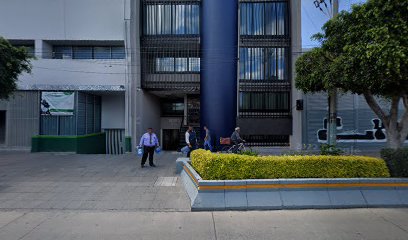 Toriello y Asociados