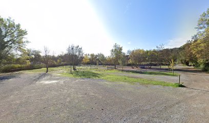 Cie L'Arborescence Villeneuve-lès-Maguelone